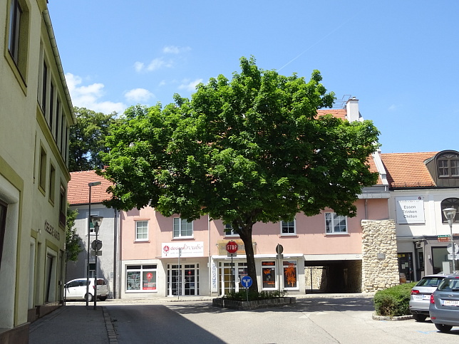 Stadtmauer, Joseph Haydn-Gasse 41